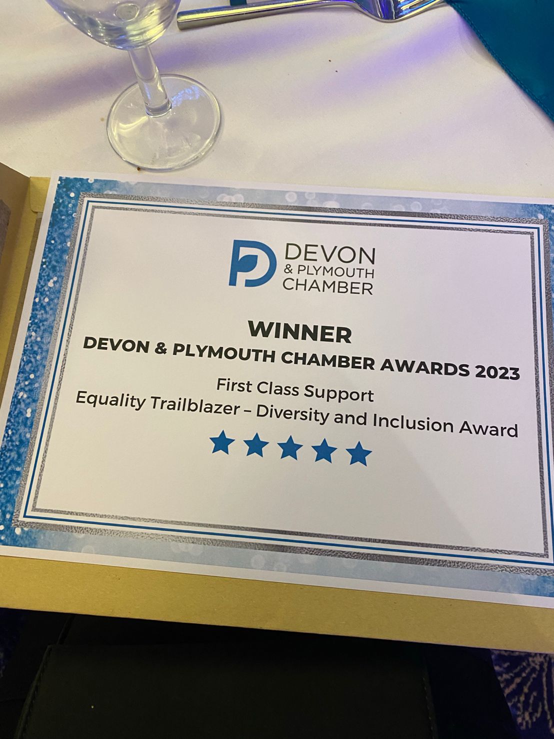 Devon & Plymouth Chamber Awards - WINNER